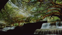 震驚了我的眼球！LG OLED把“瀑布”搬到了展會(huì) 3.gif